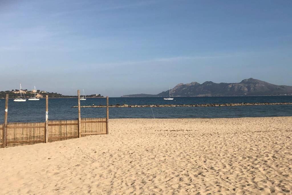 Seaside Mimosas In *